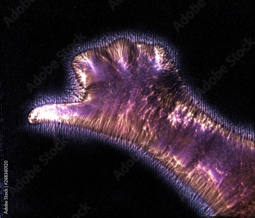 Glowing kirlian coronal aura photography with blue and purple colors of a male human hand photo