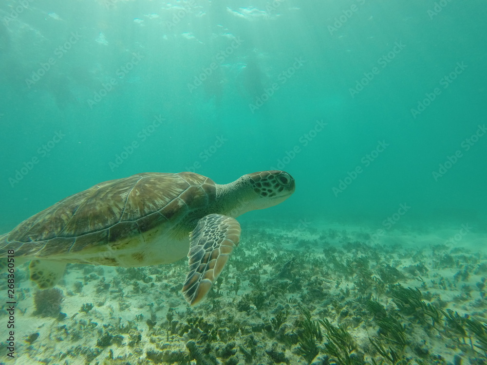 Obraz premium DCIM\134GOPRO