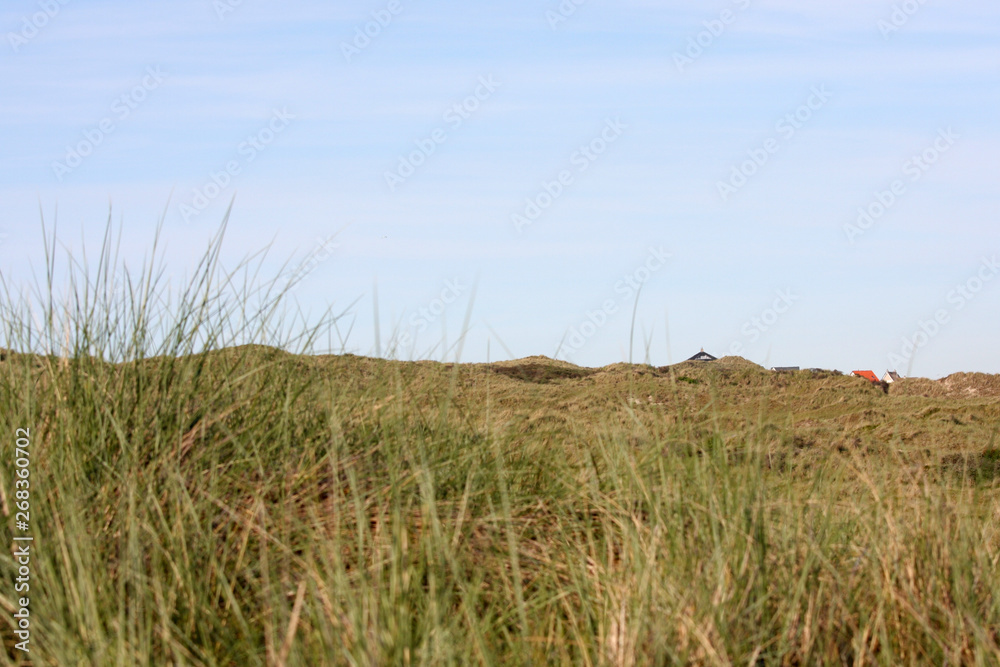 Obraz premium Dunes at Terschelling