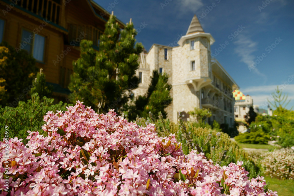 pink flowers of Hydrangea macrophylla on the background of the castle in Victorian style
