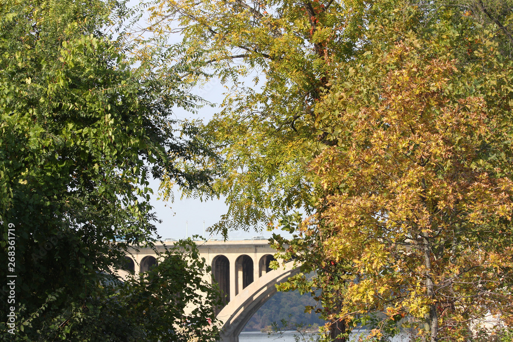old bridge in the park old bridge in the park