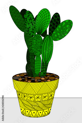 cactus in a pot, flower in zenart style, color still life, doodle, zen art