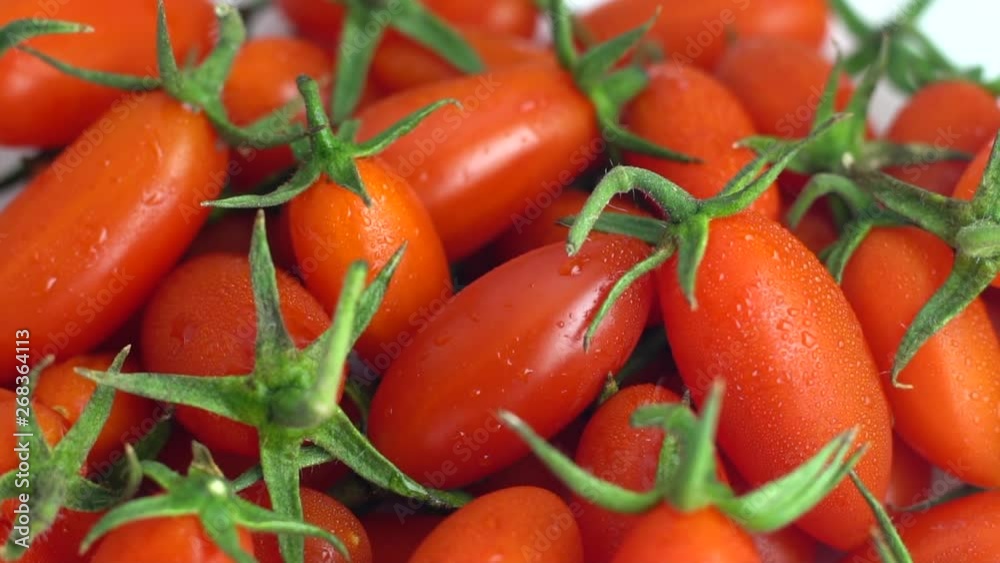 Close up of Solarino tomatoes cleaning with water first step before cooking in slow motion. Shooting in advertising studio. Vegetable and food ideas concept. Close up of Solarino tomatoes cleaning with water first step before cooking in slow motion. Shooting in advertising studio. Vegetable and food ideas concept.