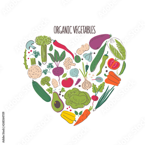 Organic vegetables hand drawn color illustration