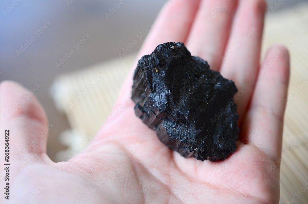 Raw Black Tourmaline Specimen. Schorl being held in hand. Black healing crystal. Ground and protective healing stone. Rough Schorl in woman's hand. Wiccan healing crystals Raw Black Tourmaline Specimen. Schorl being held in hand. Black healing crystal. Ground and protective healing stone. Rough Schorl in woman's hand. Wiccan healing crystals