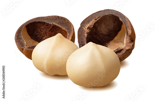 Peeled macadamia nuts and empty nutshells isolated on white background. With clipping path photo