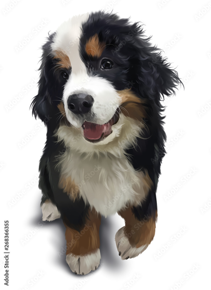 Bernese mountain dog. Watercolor painting