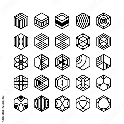 hexagon geometric vector icon , ornament