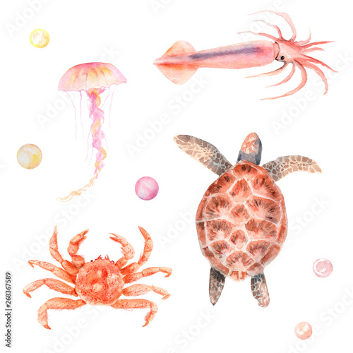 Photography watercolor set ocean, sea: turtle, crab, squid, jellyfish, pearls