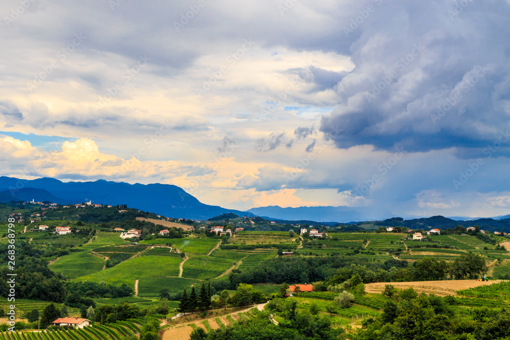 Stormy day in the vineyards of Brda, Slovenia