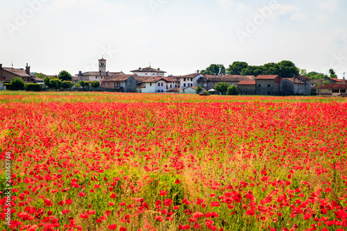 Spring in the fields of Italy