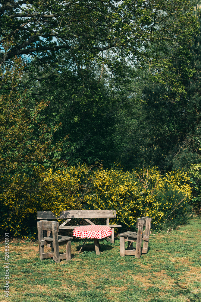 Wooden table and chairs in backyard in spring. Wooden table and chairs in backyard in spring.