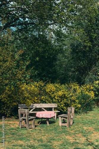 Wooden table and chairs in backyard in spring.