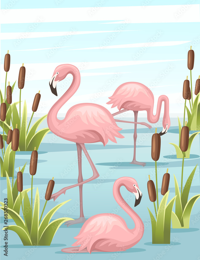 Obraz premium Group of pink flamingo standing in water. Lake with green reeds. Birds stay in lake. Flat vector illustration on blue sky with cloud background