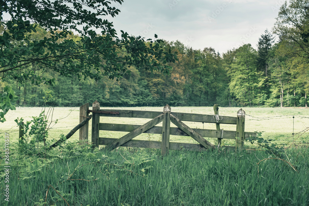 Wooden fence gate in meadow in forest in spring. Wooden fence gate in meadow in forest in spring.