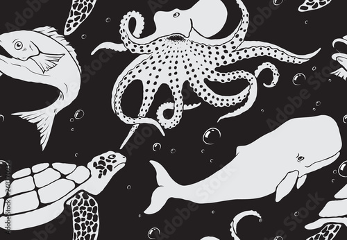 marine animals