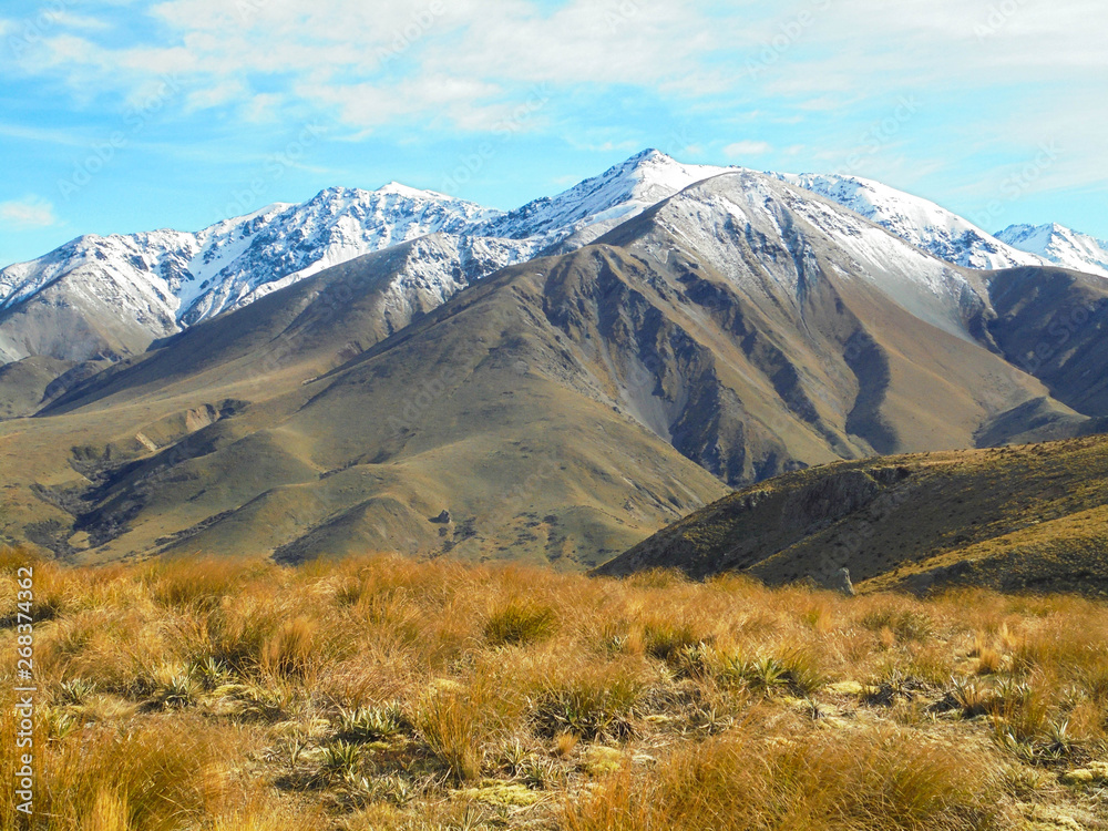 beautiful view on yellow plains with tussock grass and snow capped mountains from hiking trail to Mount Somers, foothills of Southern Alps in Canterbury region, South Island of New Zealand beautiful view on yellow plains with tussock grass and snow capped mountains from hiking trail to Mount Somers, foothills of Southern Alps in Canterbury region, South Island of New Zealand