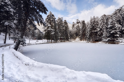 Frozen lake and trees covered with snow in the forest on a cold winter day. Winter landscape © Cagkan