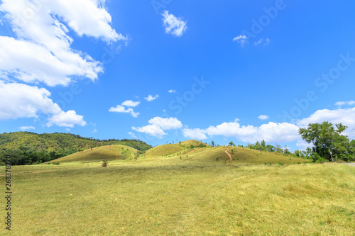 Green grass at bald hill mountain  scenic park in Ranong  Thailand