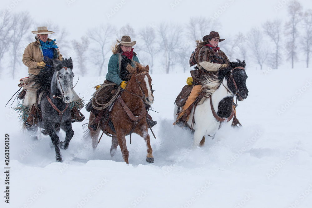 Cowgirls riding horses on snowy landscape during winter Cowgirls riding horses on snowy landscape during winter