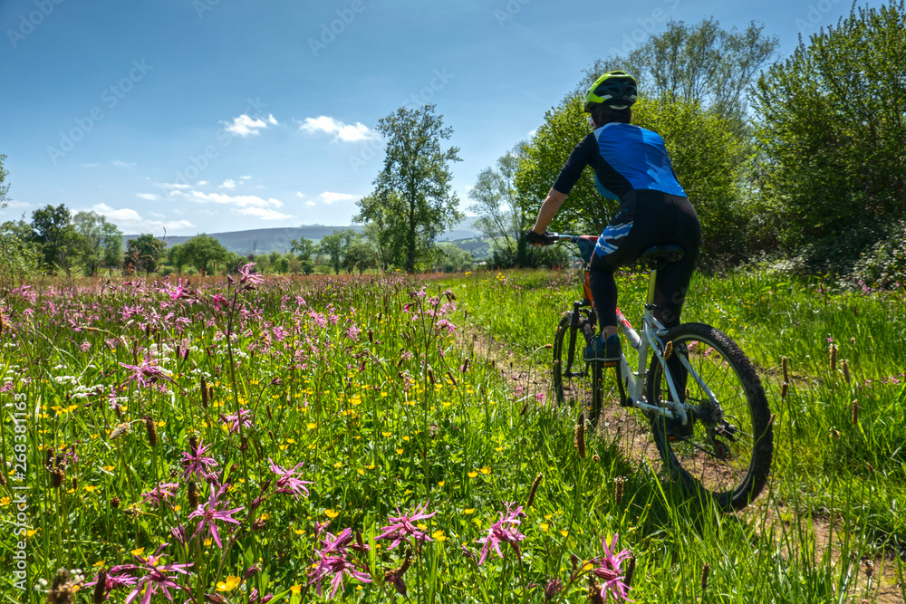 chica joven sobre una bicicleta de montaña paseando en bicicleta en un campo de flores en primavera chica joven sobre una bicicleta de montaña paseando en bicicleta en un campo de flores en primavera