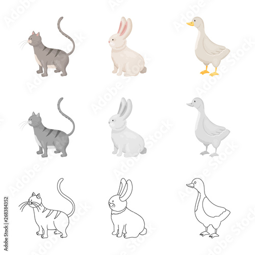 Vector illustration of breeding and kitchen  symbol. Set of breeding and organic  vector icon for stock.