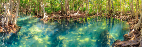 Mangrove and crystal clear water stream canal at Tha Pom Klong Song Nam mangrove wetland, Krabi, Thailand photo