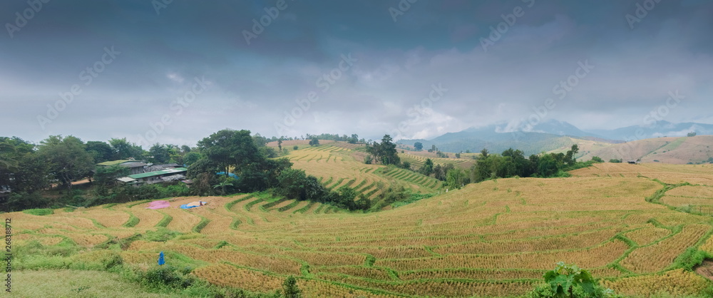 Mountain view panorama misty morning of rice fields terrace on side hill around with soft fog, hill and cloudy sky background, Ban Pa Bong Piang Village, Doi Inathanon, Chiang Mai, Thailand.