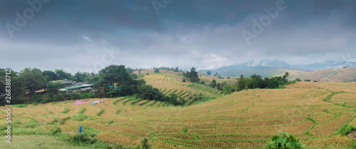 Mountain view panorama misty morning of rice fields terrace on side hill around with soft fog, hill and cloudy sky background, Ban Pa Bong Piang Village, Doi Inathanon, Chiang Mai, Thailand.