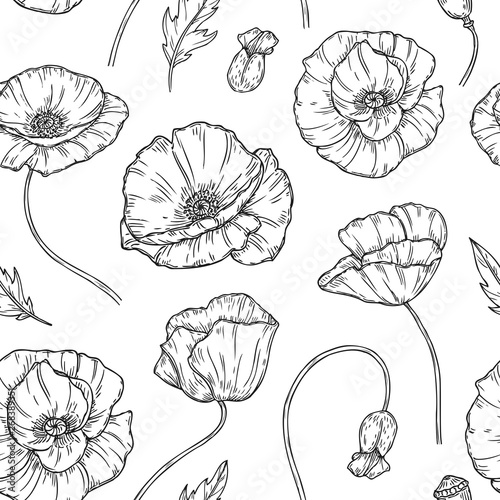 Poppy seamless pattern. Poppies flower sketch drawing wall artwork plant poppy flower bud planting floral nature vector fabric texture. Illustration of seamless pattern blossom floral poppy