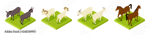 Isometric hoofed cattle. Dunkey, horse, ram and goat 3d vector collection. Illustration of cattle animals, horse and donkey
