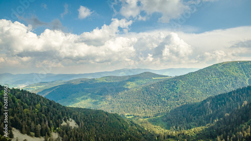 Vosges 