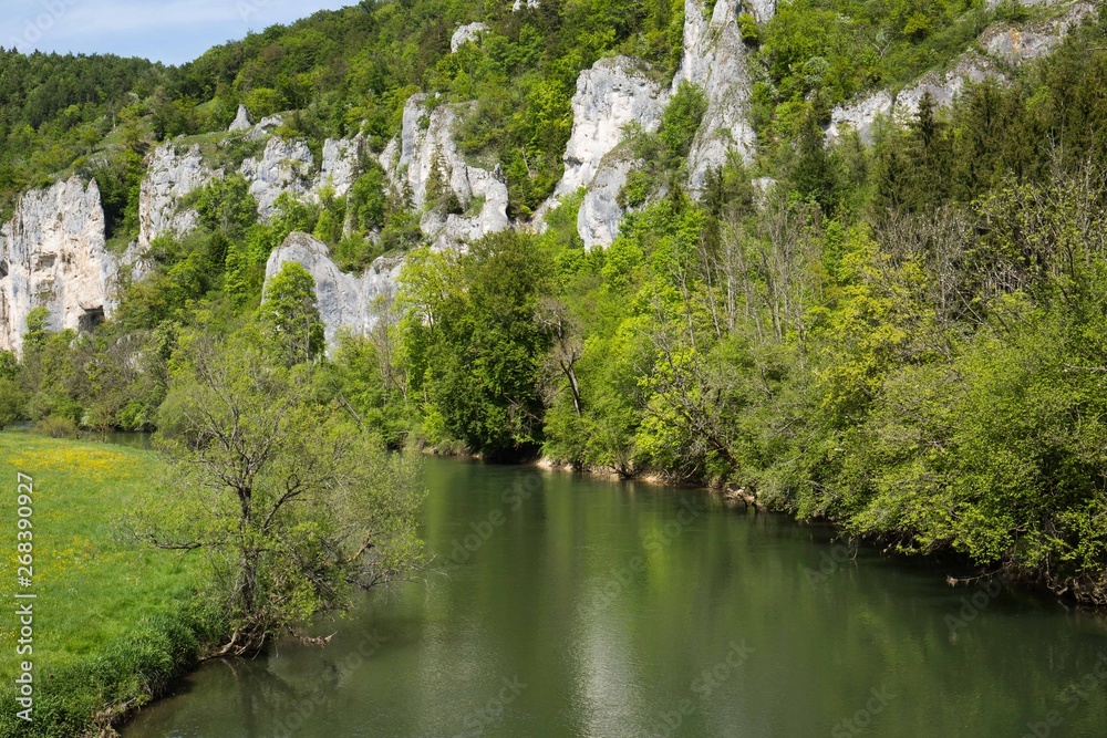 Fototapeta premium Obere Donau bei Rabenfelsen, Thiergarten bei Sigmaringen
