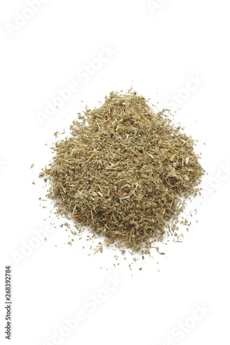 Dried kinnikinnick (Arctostaphylos uva-ursi) photo