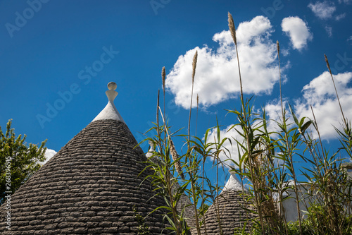 Unos tejados cónicos de piedra de trullos, construcción medieval en Alberobello, en Italia photo