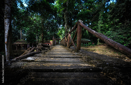 Yan Malaysia  ausgetrocknetes Flu  bett  Lost Place