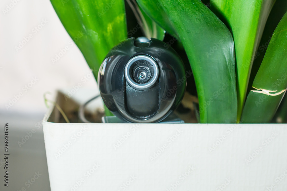 Webcam hidden in a flower pot for covert surveillance of the house.  Surveillance and security systems. Smart House. Espionage. Hidden camera  for watching Stock-Foto | Adobe Stock