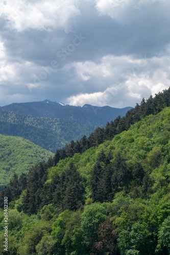 View with mountains forested - Postavarul Massif -  Brasov, Transylvania, Romania © ramona georgescu