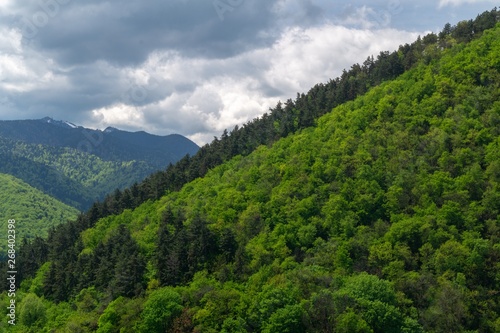 View with mountains forested -  Postavarul Massif -  Brasov  Transylvania  Romania