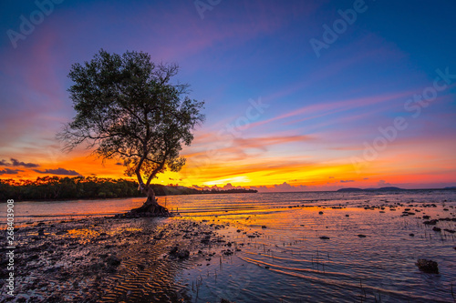 Silhouettes of Avicennia officinalis trees and amazing cloudy sky on sunrise at tropical beach in Thailand.