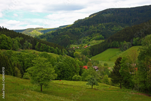 Frühling im Schwarzwald