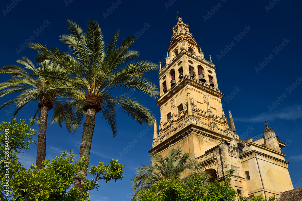Palm and orange trees in the inner courtyard of the Cordoba Cathedral Mosque