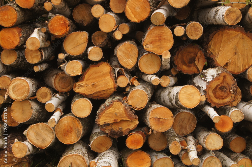 The pile of firewood lies in the forest. Preparation of firewood for the winter. Firewood background, texture. The pile of firewood lies in the forest. Preparation of firewood for the winter. Firewood background, texture.