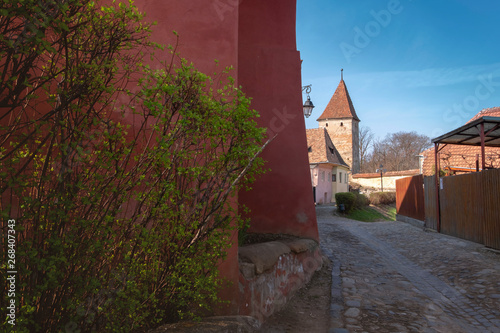 Morning view of the streets of Sighisoara with the Butcher's tower in sight photo