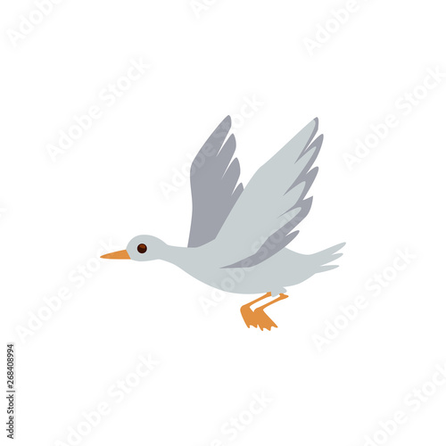 Wild for hunting or home farm waterfowl grey goose or duck.
