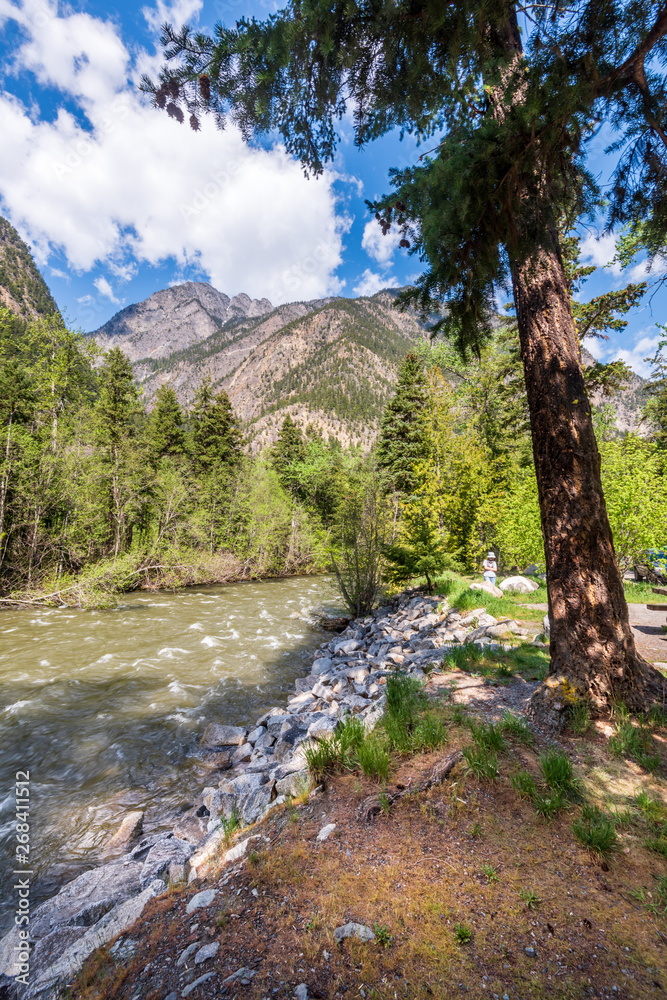 Majestic mountain river in Vancouver, Canada. View with mountain background. Majestic mountain river in Vancouver, Canada. View with mountain background.
