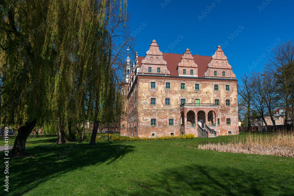Castle in Polska Cerekiew, Poland