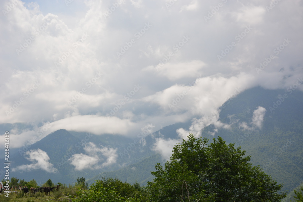 Georgia Svaneti Georgia Svaneti