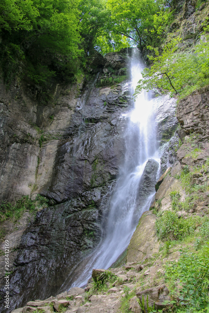 Obraz premium waterfall in forest