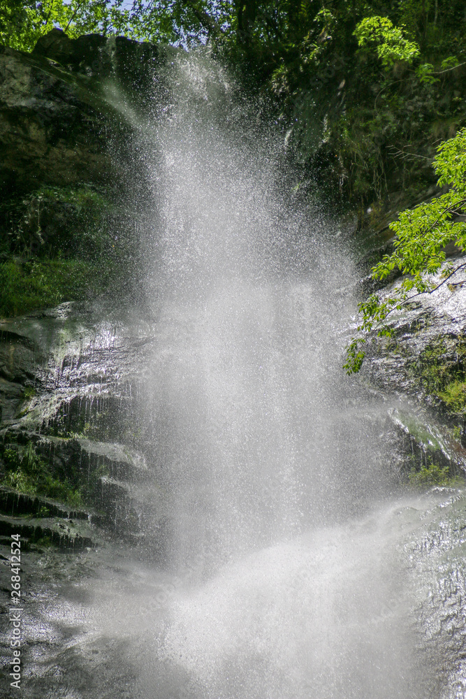 waterfall in the forest waterfall in the forest